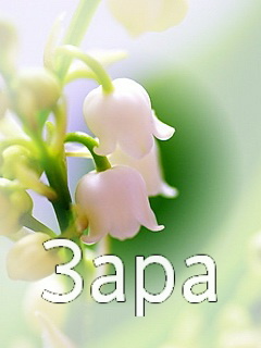 �������� � ������� ����