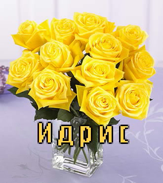 ��������: �����