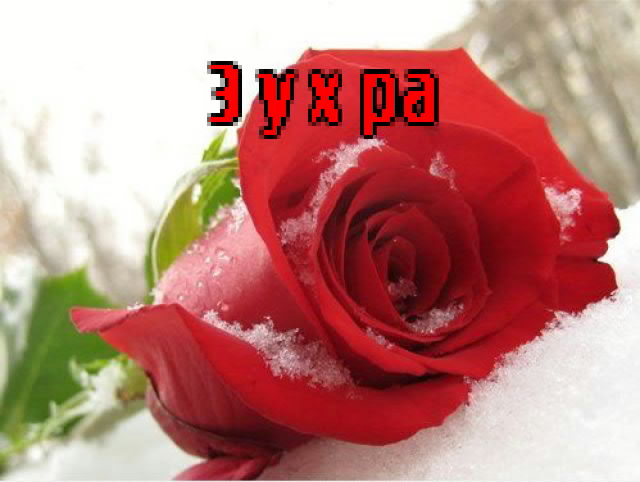 Картинка: Зухра