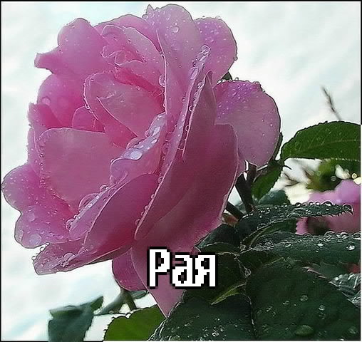 �������� � ������� ���