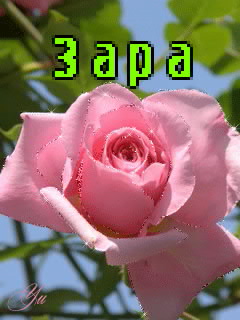 �������� � ������� ����