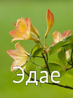 �������� � ������� ����