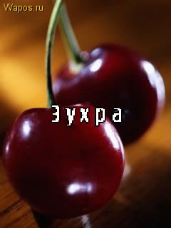 ��������: �����
