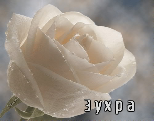 Картинка: Зухра