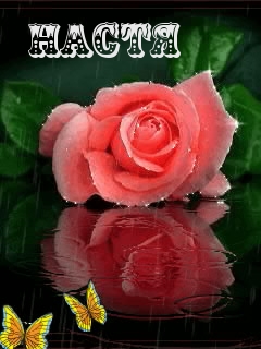 ��������: �����