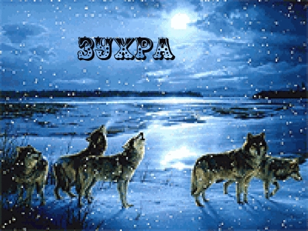 Картинка: Зухра