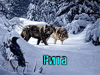 ��������: ���������