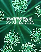 Картинка: зухра