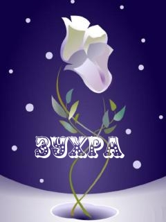 Картинка: зухра