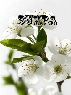 Картинка: зухра