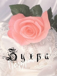 Картинка: З у х р а