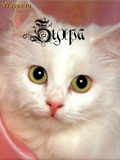 Картинка: Зухра
