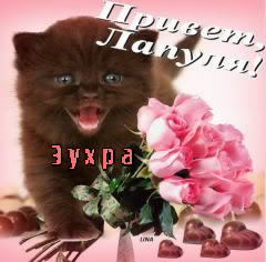 Картинка: Зухра