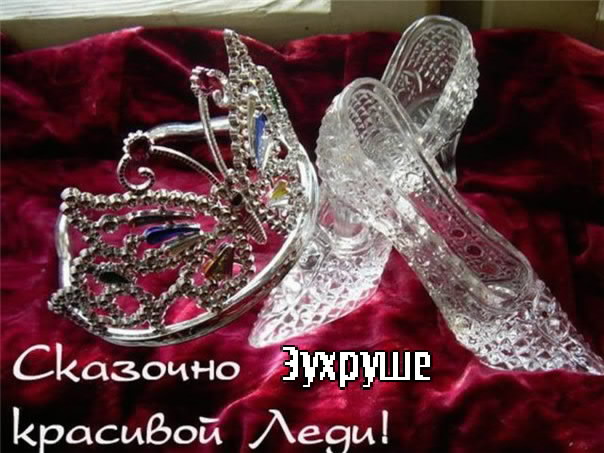 ��������: �����
