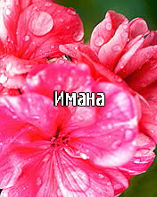 ��������: �����