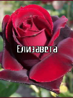 ��������: ����