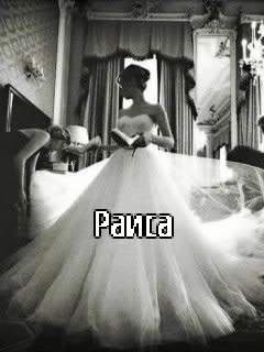 ��������: �����