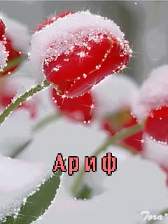 �������� � ������� ����