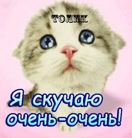 �������� � ������� �����