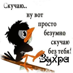 Картинка: Зухра
