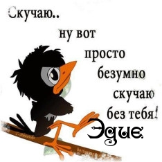 �������� � ������� ����