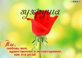 Картинка: зухруша