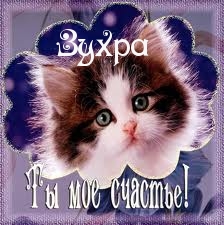Картинка: Зухра