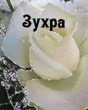 Картинка: Зухра