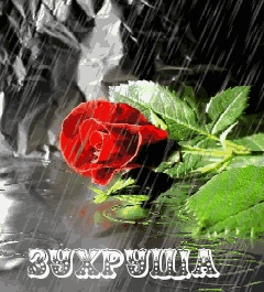 Картинка: зухруша