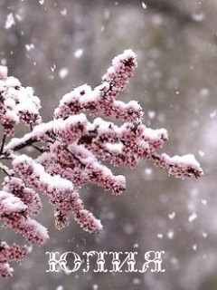 ��������: ����