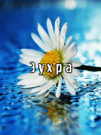 ��������: �����
