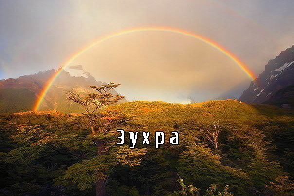 Картинка: Зухра