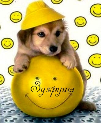 Картинка: Зухруша