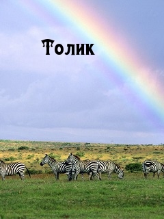 ��������: �����