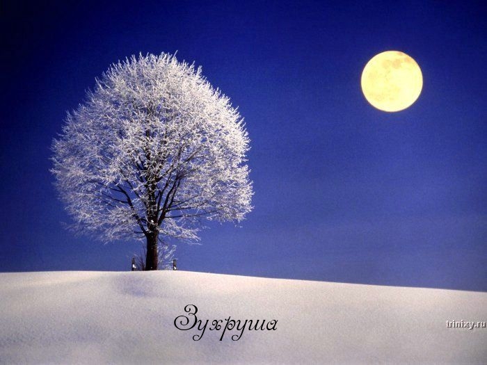 Картинка: Зухруша