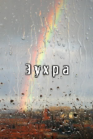 ��������: �����