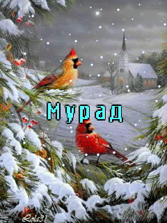 ��������: �����