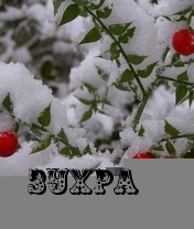 Картинка: Зухра