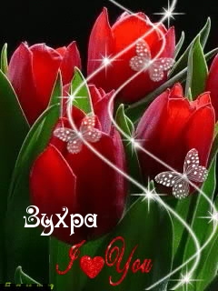 Картинка: Зухра
