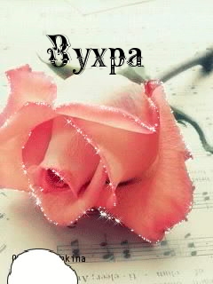 Картинка: Зухра