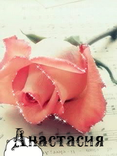 ��������: ���������