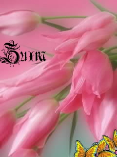 ��������: Zuxra