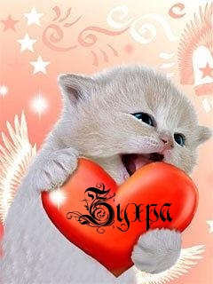 ��������:  �����