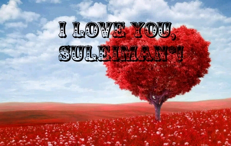 : I love you,Suleiman*!