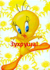 Картинка: Зухруша