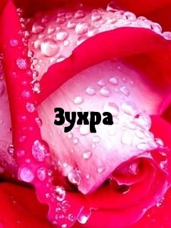 Картинка: Зухра