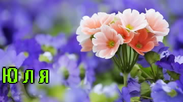 ��������: ���