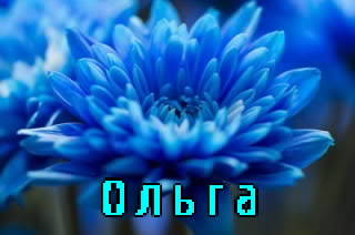 ��������: ���