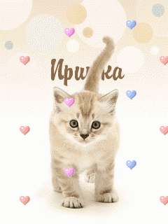 ��������: ������