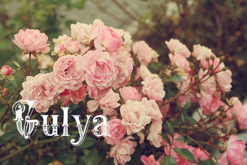 : Gulya